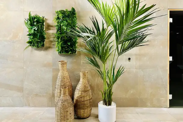 Aménagement de l'espace bien être - Piscine Espace Tallagrand de