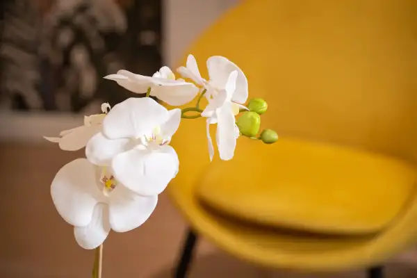 Aménagement et appartement Airbnb