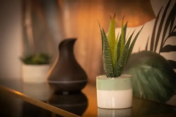 Aménagement et appartement Airbnb