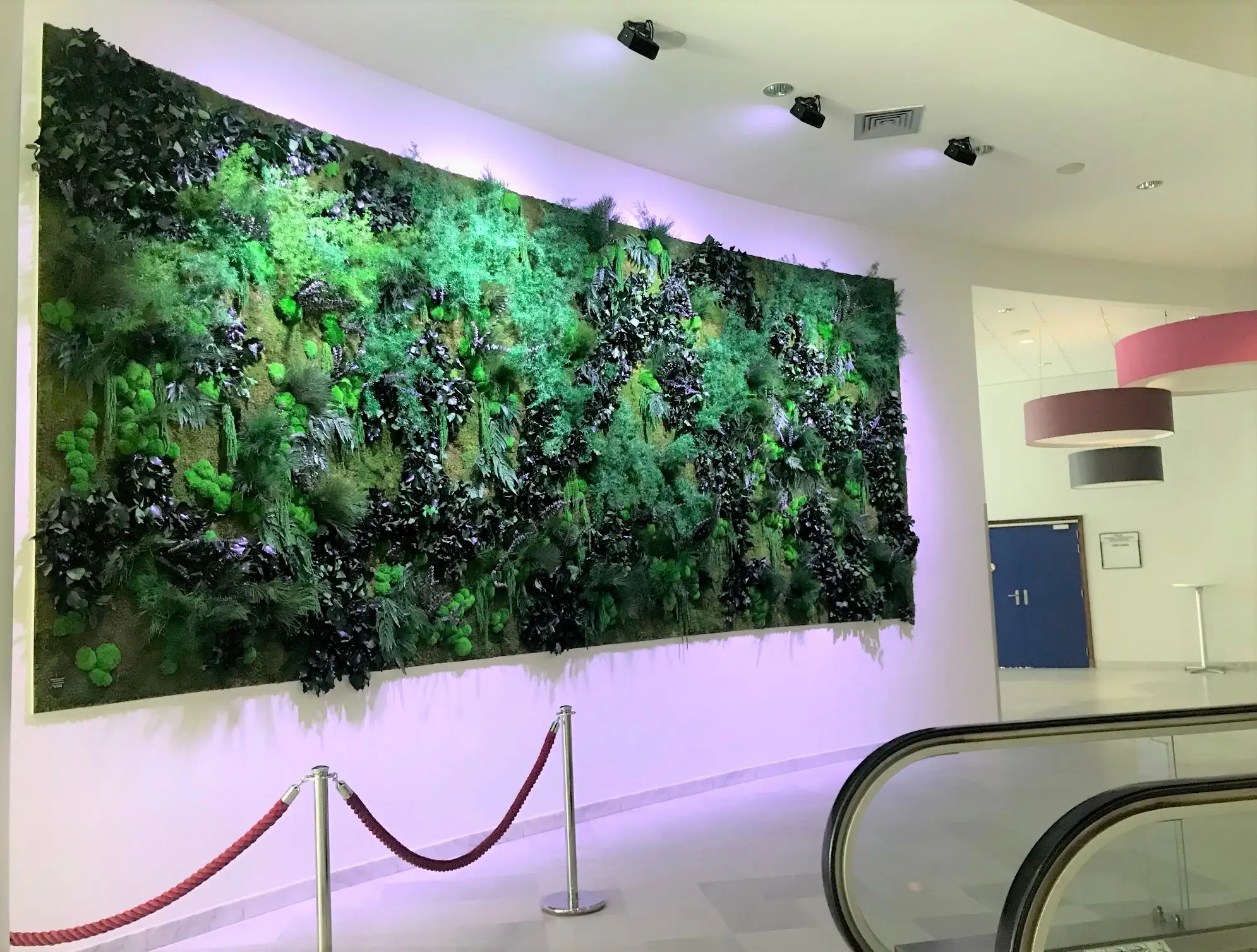 Aménagement et décoration - Palais des congrès Dijon