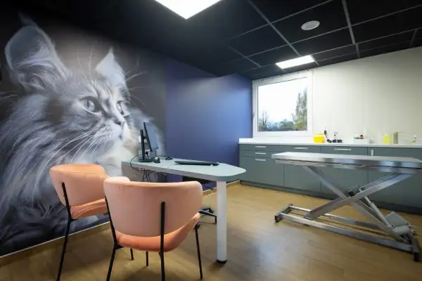 Décoration d’une clinique vétérinaire "Newref"