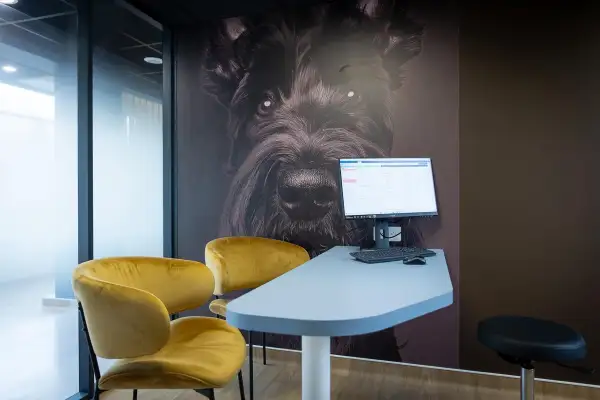 Décoration d’une clinique vétérinaire "Newref"