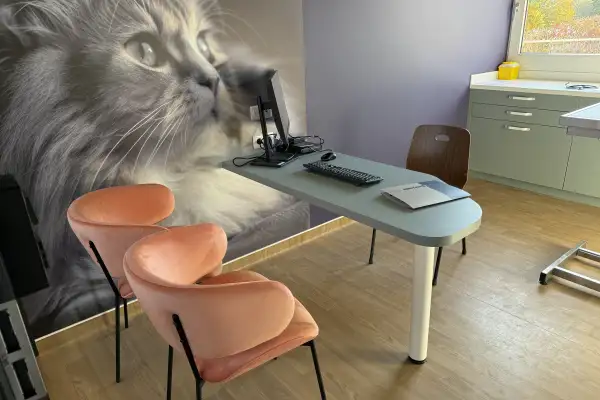Décoration d’une clinique vétérinaire "Newref"