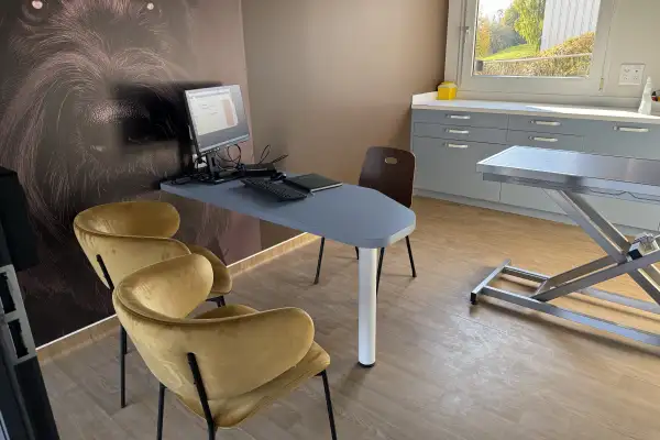 Décoration d’une clinique vétérinaire "Newref"