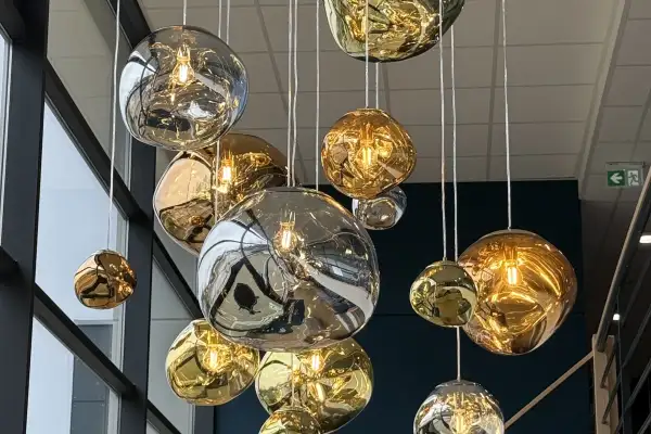 Décoration d’une clinique vétérinaire "Newref"