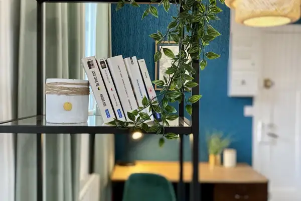 Rénovation, Aménagement & Décoration appartement locatif Rue de Beaune