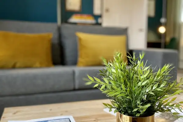 Rénovation, Aménagement & Décoration appartement locatif Rue de Beaune