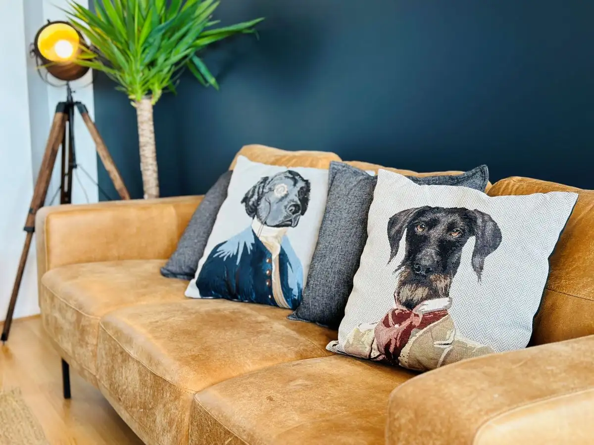 Rénovation, Aménagement & Décoration appartement