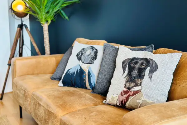 Rénovation, Aménagement & Décoration appartement