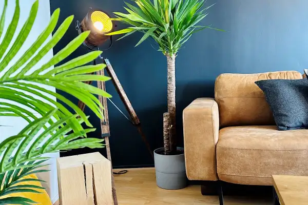 Rénovation, Aménagement & Décoration appartement