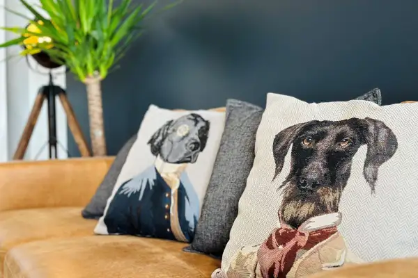 Rénovation, Aménagement & Décoration appartement