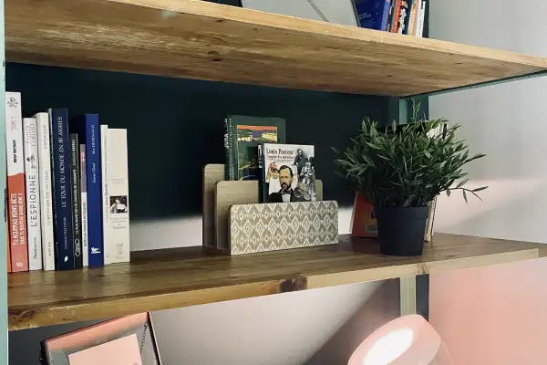 Rénovation appartement