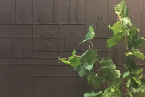 Restaurant Le Vintage - Hotel Le Richebourg